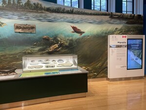 Musée Royal de l'Ontario - Une vitrine exceptionnelle pour les fossiles de Miguasha