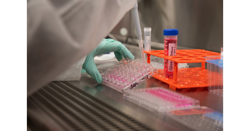 GreenLight (ENVI) and IAVI begin work on Omicron variant-adapted COVID-19 vaccine candidate