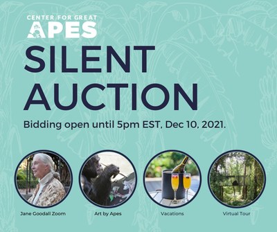 Jane Goodall chat part of the 2021 Silent Auction for Center for Great Apes. Bidding is open and auction items also include hotel stays, art, and more.