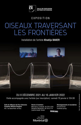 Oiseaux traversant les frontières : une installation interdisciplinaire sur le thème de l'immigration