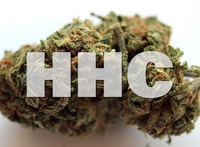 Boston Hemp explains HHC coated CBD flower