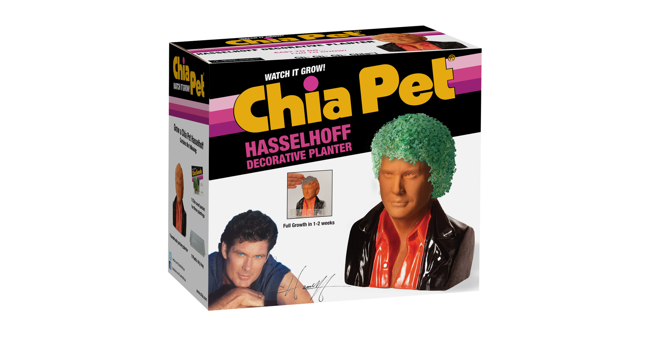 Stuff Your Holiday Stockings With Jeis Ch Ch Ch Chia™ Chia Pet