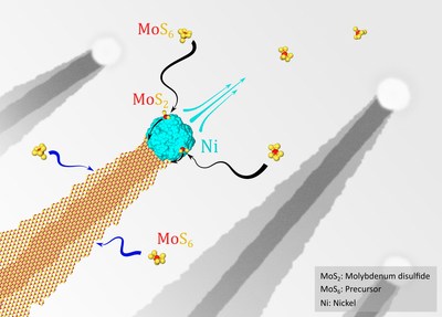 Illustration of nanoribbon growth enabled by Ni.