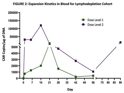FIGURE 2: Expansion Kinetics in Blood for Lymphodepletion Cohort