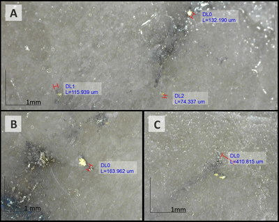 Image 1: Photographs of visible gold observed in DDRCCC-21-021 
from 80.8 to 81.0 metre interval which graded 35.70 g/t gold (CNW Group/Sitka Gold Corp.)