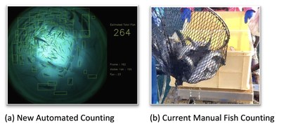 New automated approach to fish counting using computer vision versus traditional, manual counting