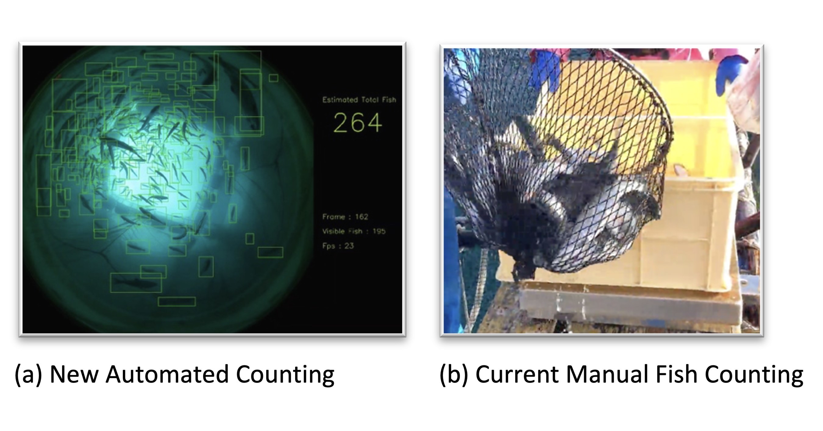 NeuralX, Inc.: The Future of Fish Farming Leverages Computer Vision For ...