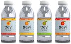 Trevi Essence Water Sponsors 6-Day New Year's Skydive Event