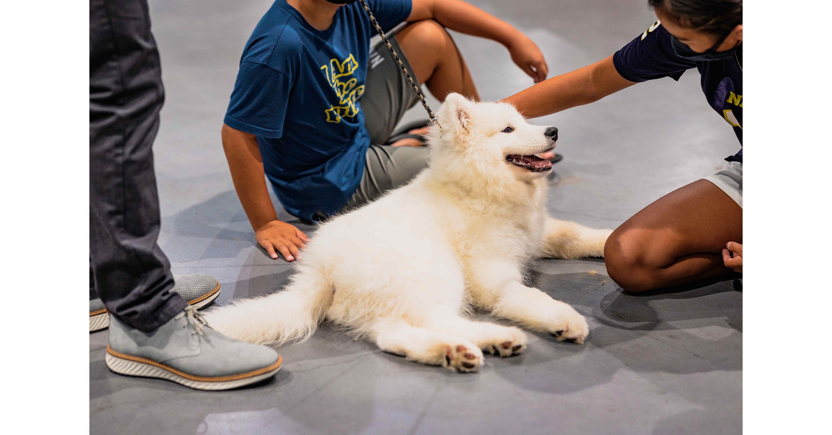 THE AMERICAN KENNEL CLUB AND GF SPORTS & ENTERTAINMENT ANNOUNCE 2022  NATIONAL AKC MEET THE BREEDS® TOUR