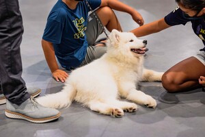 THE AMERICAN KENNEL CLUB AND GF SPORTS &amp; ENTERTAINMENT ANNOUNCE 2022 NATIONAL AKC MEET THE BREEDS® TOUR