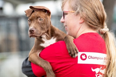 A Champion Petfoods employee plays with a dog at Logan County Humane Society in Kentucky