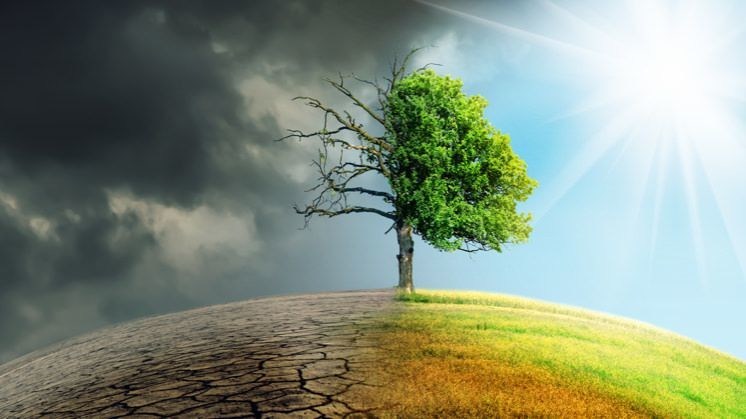 The Vision 2045 Summit aligned businesses together to effectively coalesce efforts towards a sustainable future - Vimarsana News