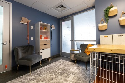 The real-life room at the ASPCA Adoption Center provides enrichment and relaxation to dogs who are spending time in the shelter, as they prepare for life with an adoptive family. Credit: ASPCA