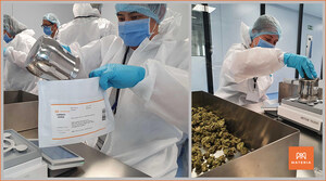 Materia Malta Begins First Sales of Medical Cannabis in Europe