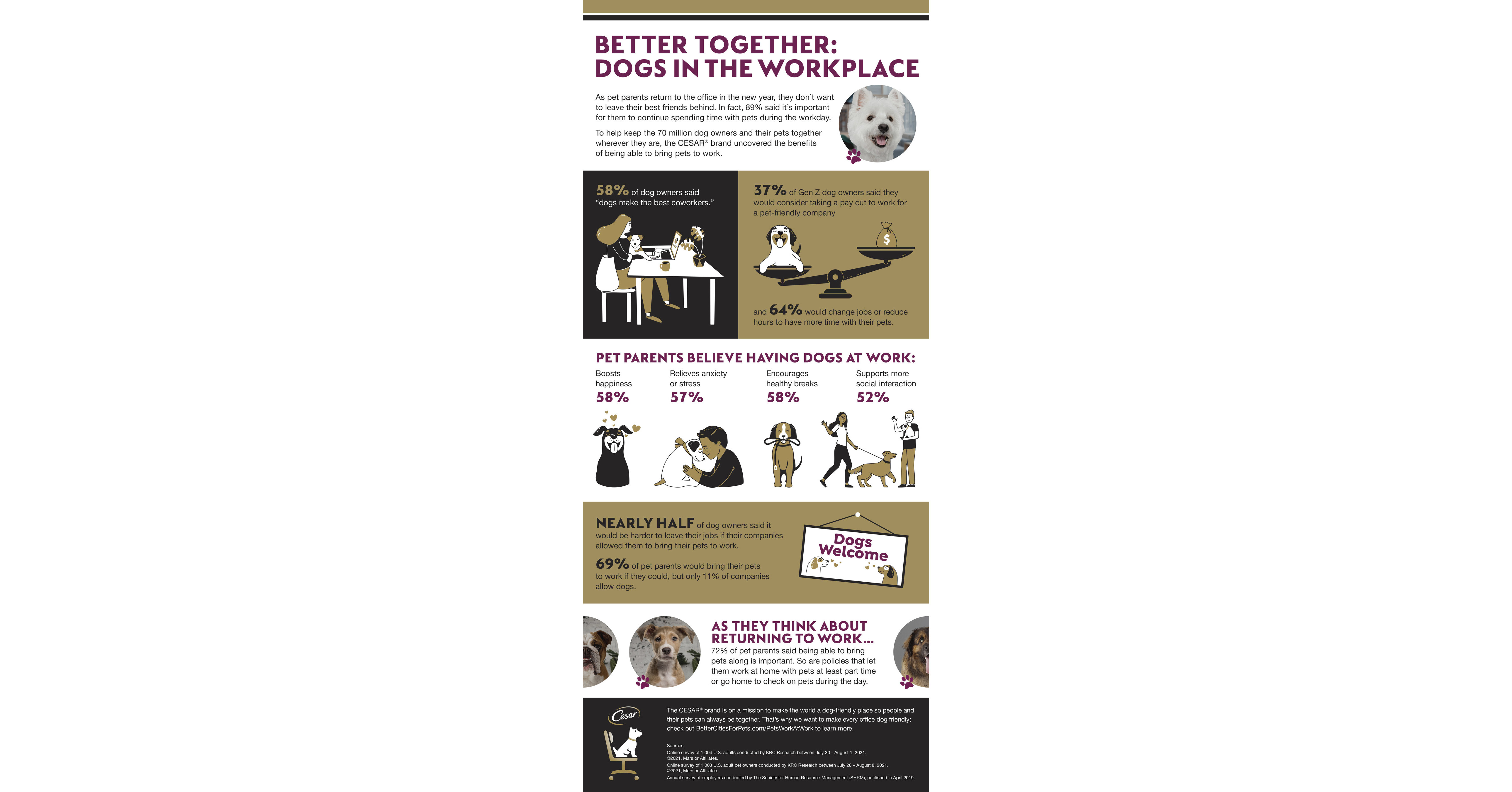 The Benefits of Dogs in the Workplace