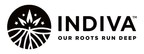 INDIVA ANNOUNCES APPOINTMENT OF NEW DIRECTOR, INCENTIVE STOCK...