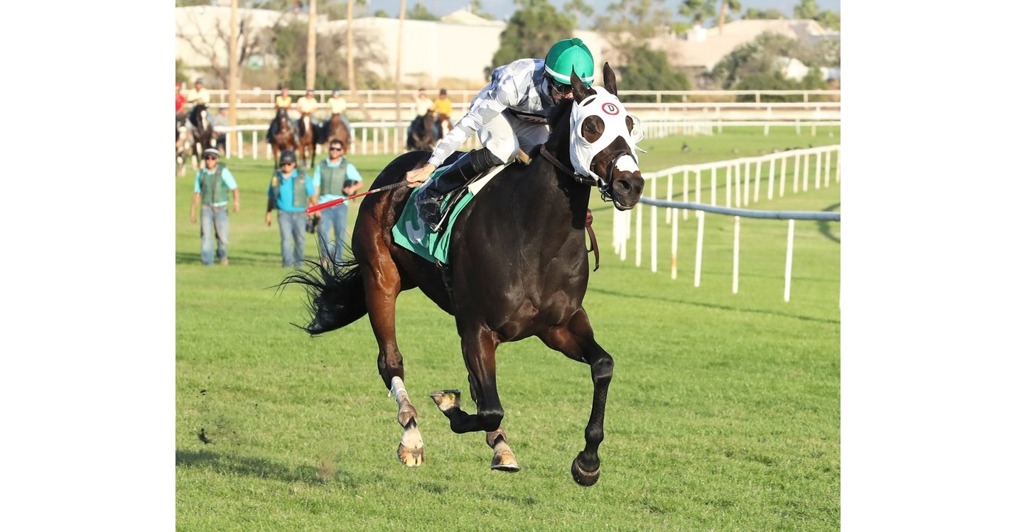 RAGS TO RICHES: SHINNY LOOKING TO REACH MILESTONE WIN