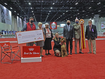 AKC Royal Canin National All-Breed Puppy and Junior Stakes winner