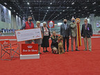 IRISH SETTER "WINDY" WINS AKC ROYAL CANIN NATIONAL ALL-BREED PUPPY AND JUNIOR STAKES
