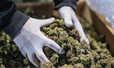 ”). The Flower Sales License will allow Adastra Labs to sell dried cannabis flower products provincially and territorially in Canada through authorized distributors and retailers. (CNW Group/Adastra Holdings Ltd.)