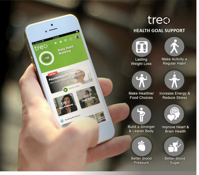 Treo launches Whole-Person Digital Wellbeing Platform for businesses