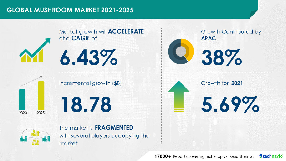 Mushroom Market to Record USD 18.78 Bn Growth | 6.43% CAGR Projection through 2025 - Vimarsana News