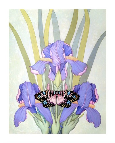 Butterfly and Irises by Marty Noble
