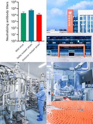 La vacuna de la COVID-19 de WestVac BioPharma tiene anticuerpos neutralizantes contra Ómicron