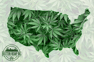 50 State Legal "Weed" Sweeps the Country
