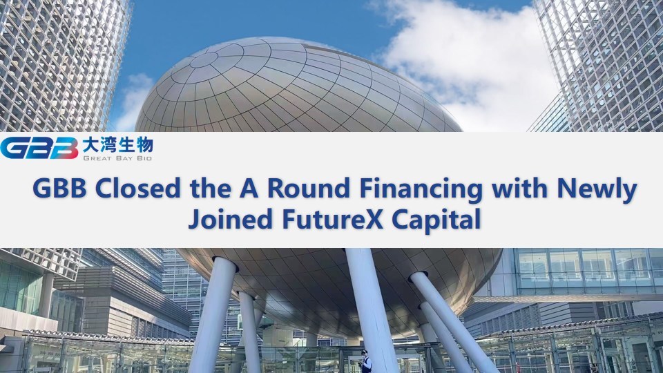 GBB Closed the A Round Financing with Newly Joined FutureX Capital - Vimarsana News