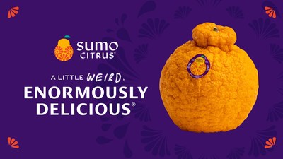 2022 Sumo Citrus Season