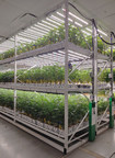 GrowGeneration Acquires Mobile Media Inc. and MMI Agriculture...