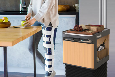 The Labrador™ Retriever is designed to lighten the load for millions of Americans who have chronic pain, injury or other health issues that impact their daily activities. Courtesy Labrador Systems.
