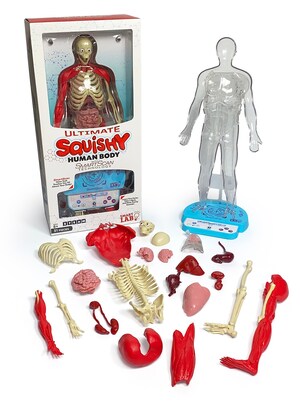 SmartLab Toys Inspires Budding Scientists, Launches the Most Advanced Human Body Discovery Toy with Ultimate Squishy Human Body