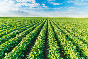 PlantArcBio Receives USDA/APHIS Regulatory Exemption in the US for its Proprietary HPPD Herbicide-Tolerant Gene for Soybean and Cotton