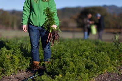 The Culinary Institute of America introduces a master's degree in Sustainable Food Systems.