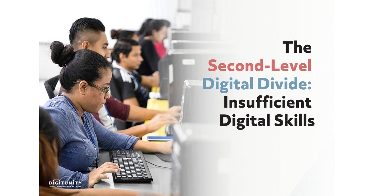 The SecondLevel Digital Divide Insufficient Digital Skills