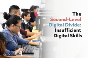 The Second-Level Digital Divide: Insufficient Digital Skills