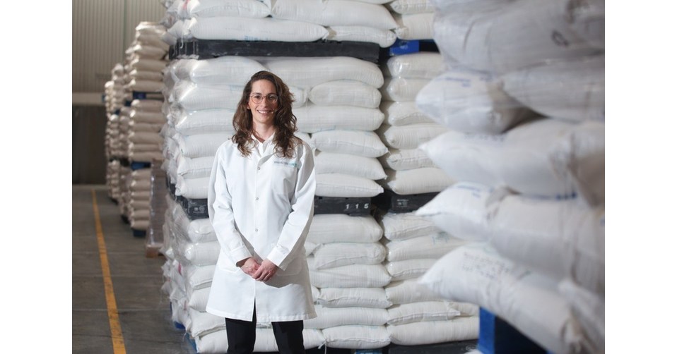 Panorama actual de los endulzantes no calóricos en México Panorama actual de los endulzantes no calóricos en México