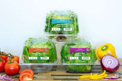 Food Lion Expands Hydroponic Produce Selection with Introduction of Vertical Roots Lettuce at 303 Stores in the Southeast.