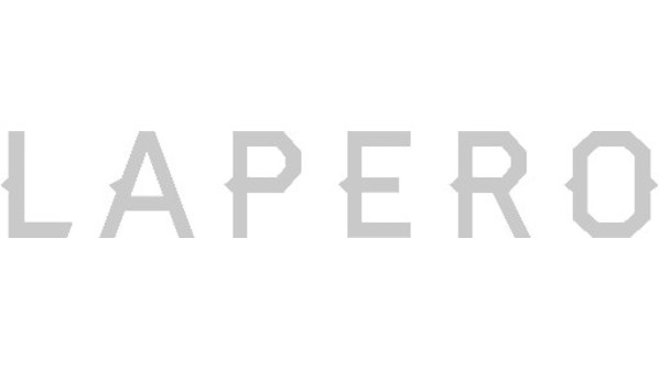 Team SI Launches Lapero, a New Subsidiary Website Development Company Specializing in Technical Consulting and Software as a Service - Vimarsana News