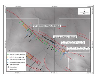 Figure 1: Map of the Panuco North Vein showing the Company’s drill hole locations. Historical drill hole traces are also shown (black). The base of the map is a grey scale digital elevation model. (CNW Group/Zacatecas Silver Corp.)