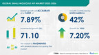 Small Molecule API Market - 42% of Growth to Originate from North ...