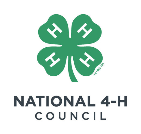 4-H and the CHS Foundation Partner to Empower Youth - Vimarsana News