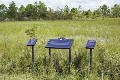 Avenir in Palm Beach Gardens Completes First Phase of Conservation Area