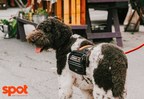 Spot Pet Insurance Shares Inspirational Success Stories From Top Service Dog Organizations