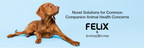Felix Biotechnology to Collaborate with AnimalBiome on a Novel Solution for Pet Diarrhea
