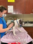 PetSmart Charities Expands Focus to Address Barriers to...