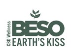 Beso Wellness 7 Logo