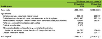 BAIIA ajuste (Groupe CNW/Cannara Biotech Inc.)
